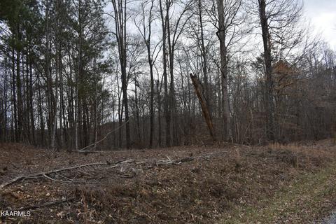 Lot 15 Jones Ridge Rd, Speedwell, TN 37870