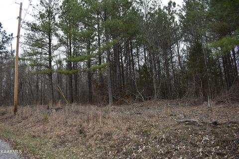lot16 Jones Ridge Rd, Speedwell, TN 37870