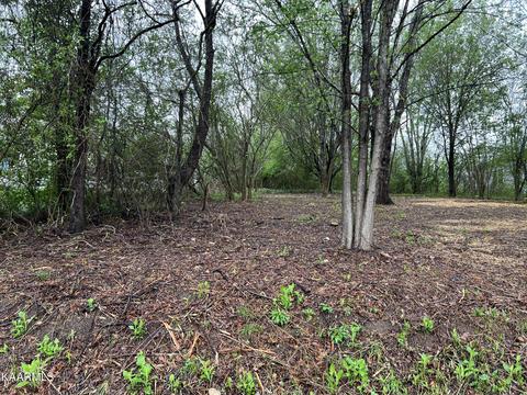 151 Oonoga Way, Loudon, TN 37774