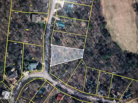 Fairway Circle, Townsend, TN 37882