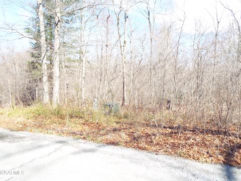 Lot 4 Mtn Preserve Pkwy, Crab Orchard, TN 37723