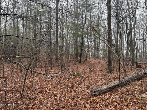 Woodland Tr, Sunbright, TN 37872