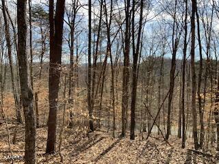 174 Lakeview Drive, Sharps Chapel, TN 37866