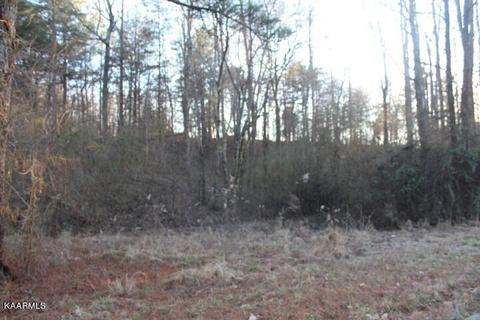 County Road 786 Lot 2, Etowah, TN 37331