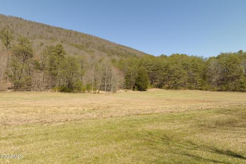 9 Firetower Road, Rutledge, TN 37861