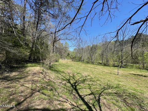 72 Reagan Valley Rd # A, Tellico Plains, TN 37385