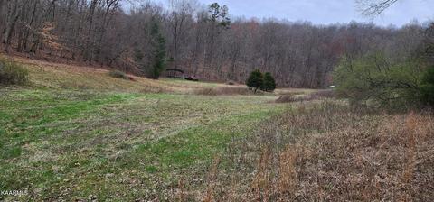 Walker Rd, Sharps Chapel, TN 37866