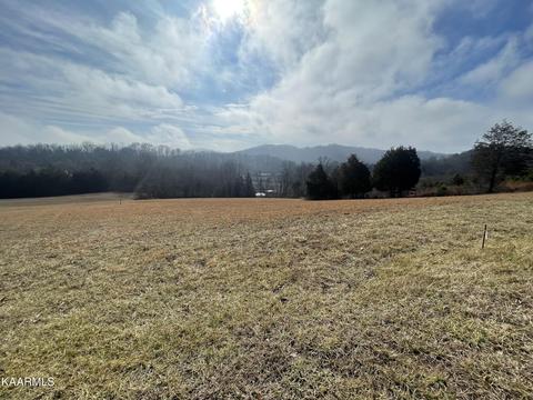 Lot 19 Pinto Ridge Drive, New Market, TN 37820