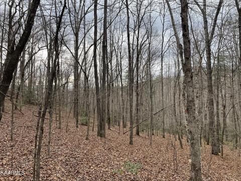 Second Creek | Flynns Cove Rd, Crossville, TN 38572