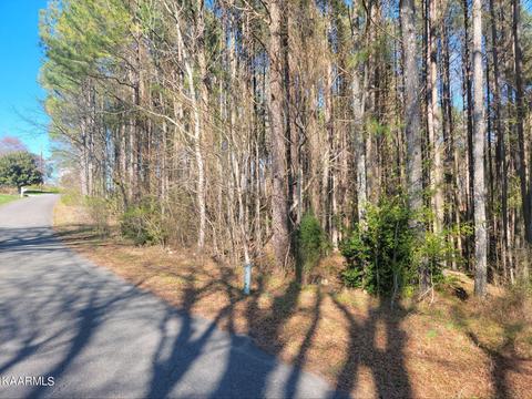 12 North Hillcrest Drive, Spring City, TN 37381