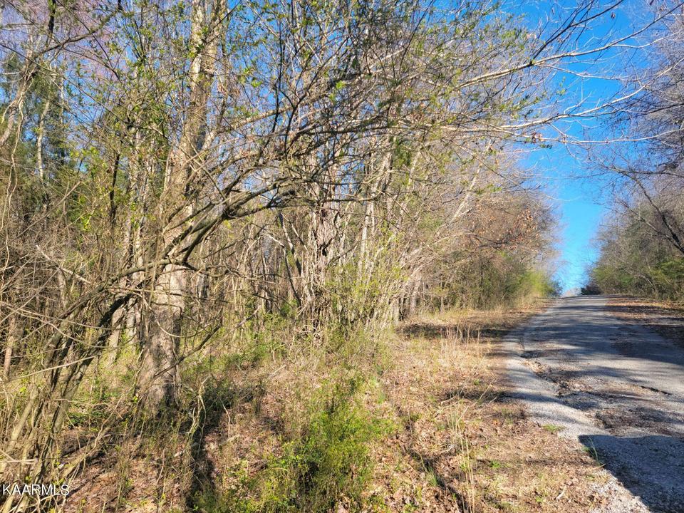 lot22 Moon Cir, Spring City, TN 37381 3 Photos Movoto