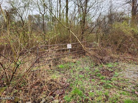 Old Mine Rd, Sweetwater, TN 37874