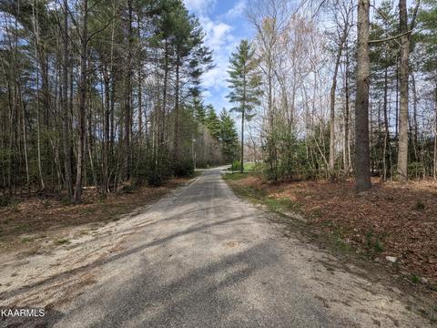 Laurel Branch Private Dr. Drive, Oneida, TN 37841