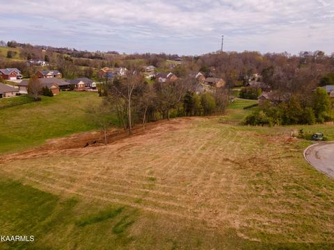 Lot 219 Louisiana Court, Seymour, TN 37865