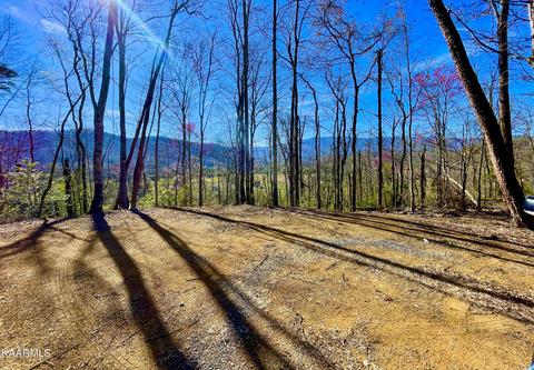 Lot 3r-4 Pleasant Valley Rd, Cosby, TN 37722