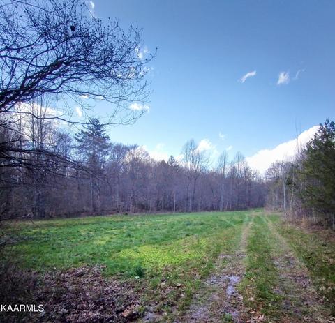 Mill Creek Road, Sunbright, TN 37872