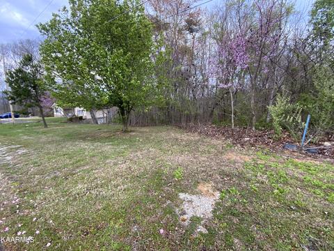 16 Summit Hills Lane, Rocky Top, TN 37769