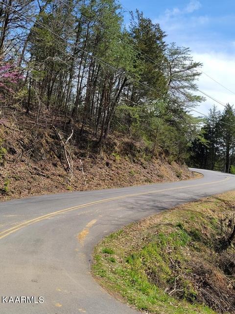 Lake Front Drive, Dandridge, TN 37725