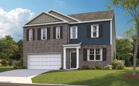 6876 Squirrel Run Ln, Corryton, TN 37721