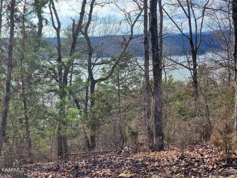 2001 Indian Shadows Dr, Ten Mile, TN 37880