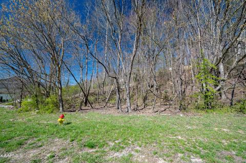 Dogwood Rd, Caryville, TN 37714