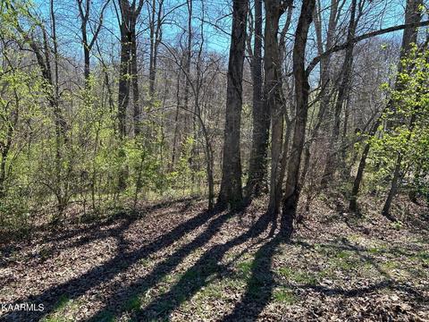 125 Chuniloti Way, Loudon, TN 37774