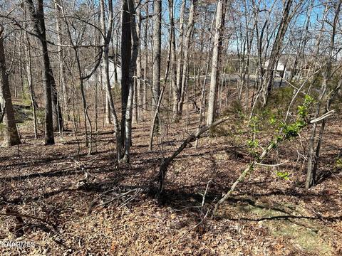 319 Kenosha Ln, Loudon, TN 37774