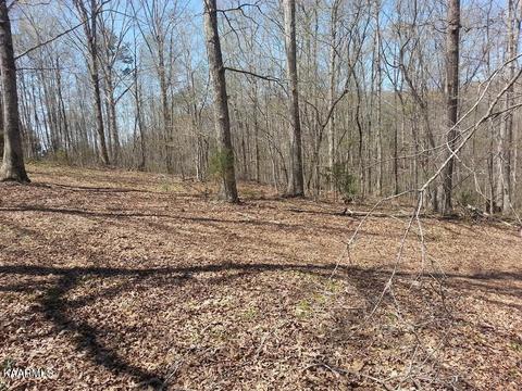 Lot 1 Bill West Drive, Ten Mile, TN 37880