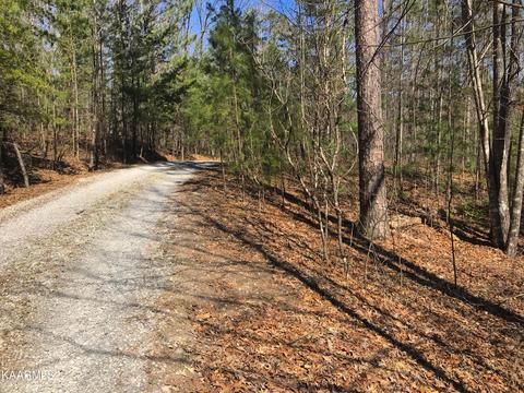 Barney Creek Rd, Tellico Plains, TN 37385