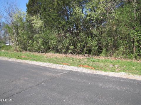 116 Cheeyo Way, Loudon, TN 37774
