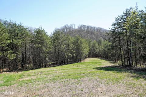 179 S White Pine Rd, Talbott, TN 37877 photo 37