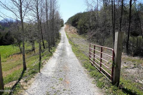 179 S White Pine Rd, Talbott, TN 37877 photo 34