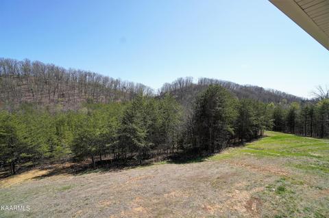 179 S White Pine Rd, Talbott, TN 37877 photo 6