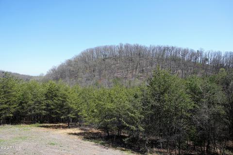 179 S White Pine Rd, Talbott, TN 37877 photo 4