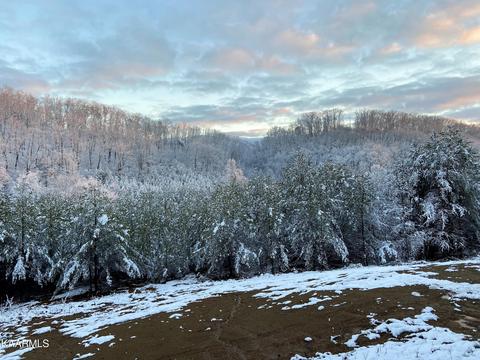 179 S White Pine Rd, Talbott, TN 37877 photo 43