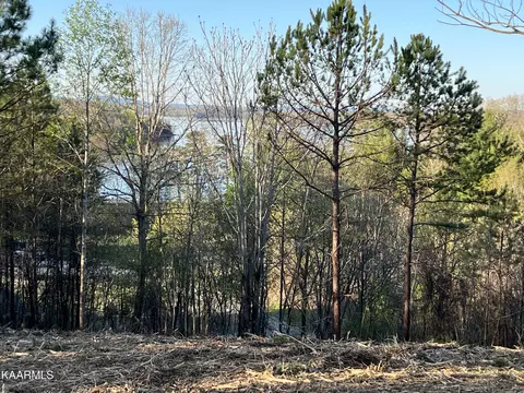 Fooshee Pass, Ten Mile, TN 37880
