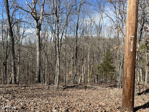 Twin Coves Circle, Lenoir City, TN 37772