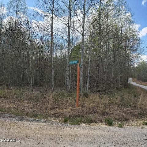 705 Soak Creek Ln, Grandview, TN 37337