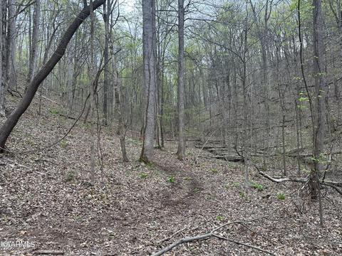Old Highway 72, Maryville, TN 37801