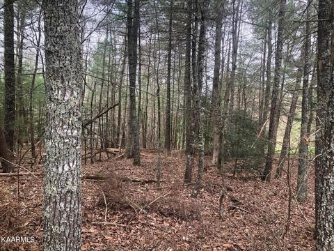 112 Leyden Dr, Crossville, TN 38558
