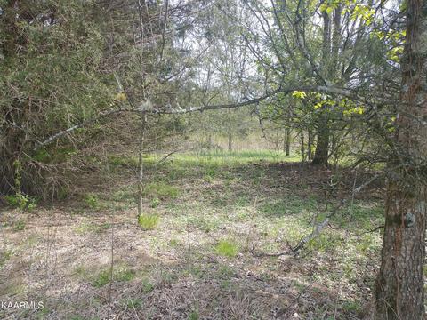 Piedmont Rd, New Market, TN 37820