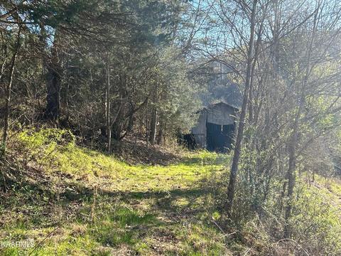 Wallop Hollow Lane, Washburn, TN 37888