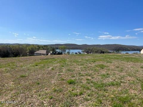 Majestic View Drive, Rockwood, TN 37854