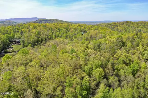 3 Flat Branch Road, Sevierville, TN 37876