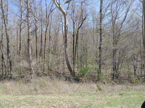 Meadow Road West Rd, Greenback, TN 37742