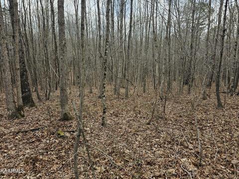 Lot E Hilltop Lane, Wilder, TN 38589
