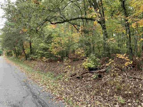 1196 Tree Line Dr Ln, Baneberry, TN 37890