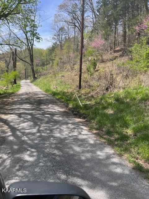 Shackleford Lane Lane, Tazewell, TN 37879