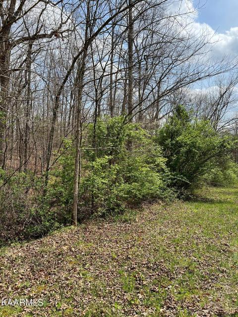 1 06 Shorty Barnes Off Tn Rd, Crossville, TN 38571