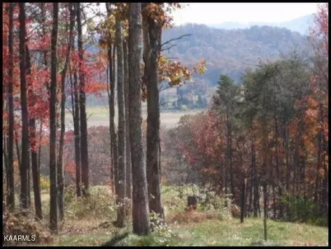 44 Bayside Boulevard, Bean Station, TN 37708